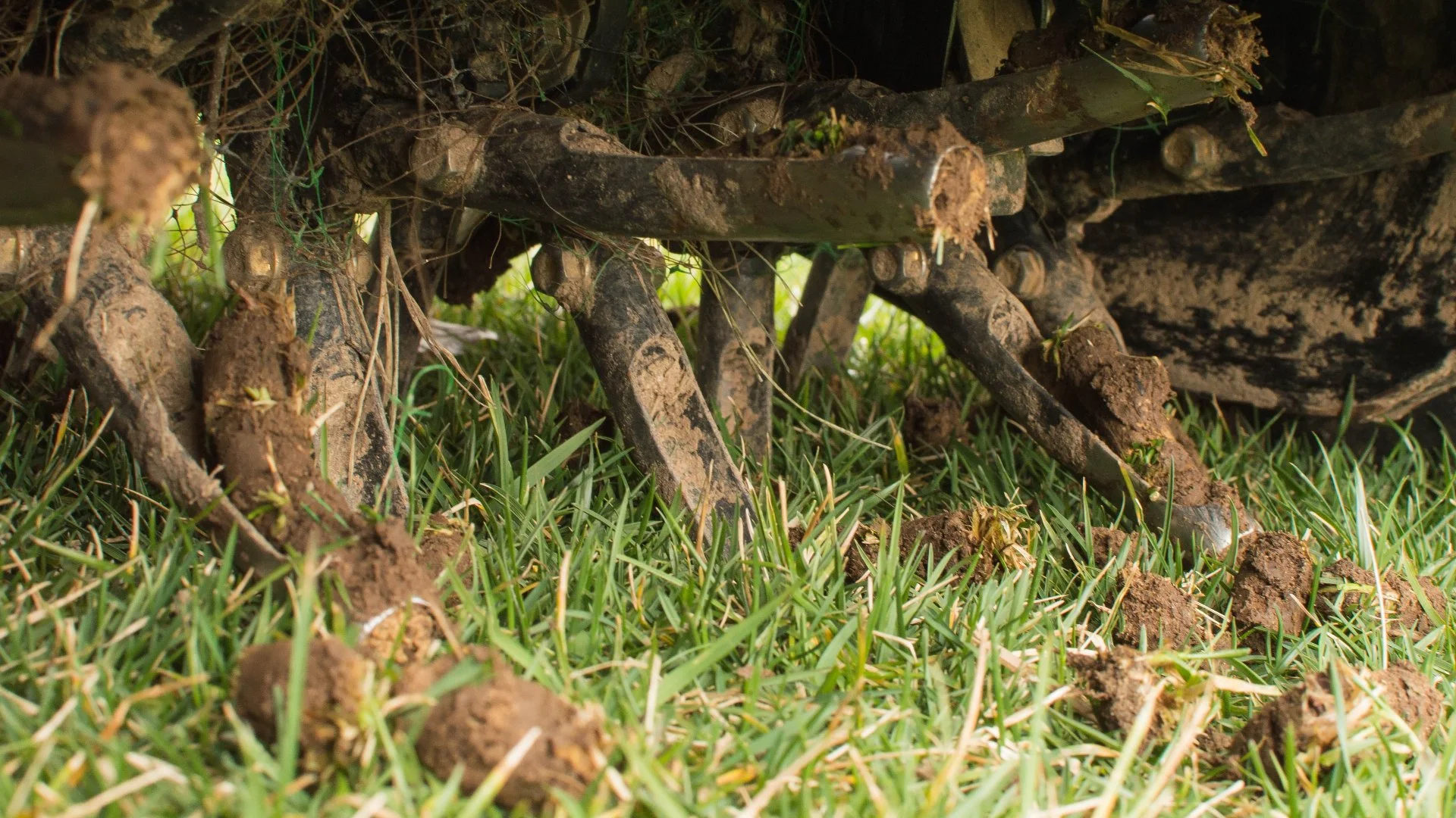 Should You Be Doing Core Aeration or Liquid Aeration for Your Lawn?