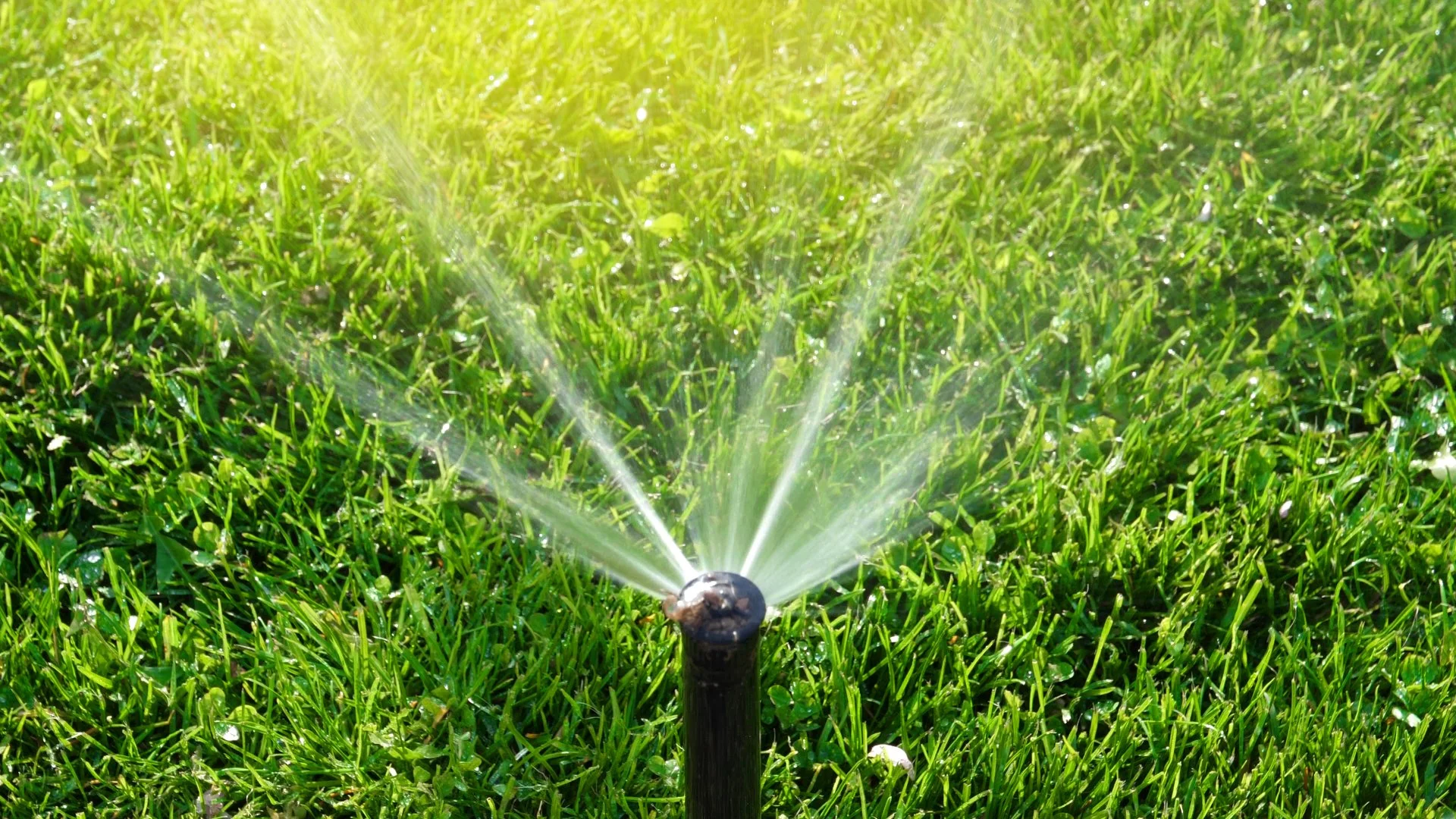 Common Causes of Low Irrigation System Water Pressure