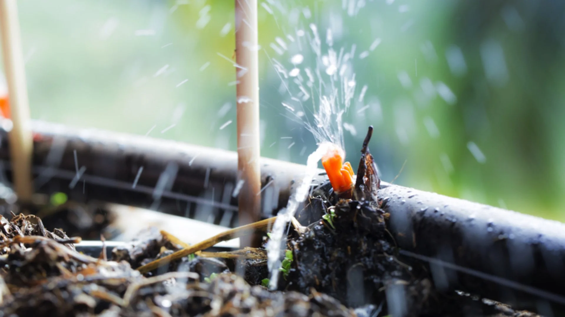 Is It Necessary To Have Drip Irrigation Systems Winterized?