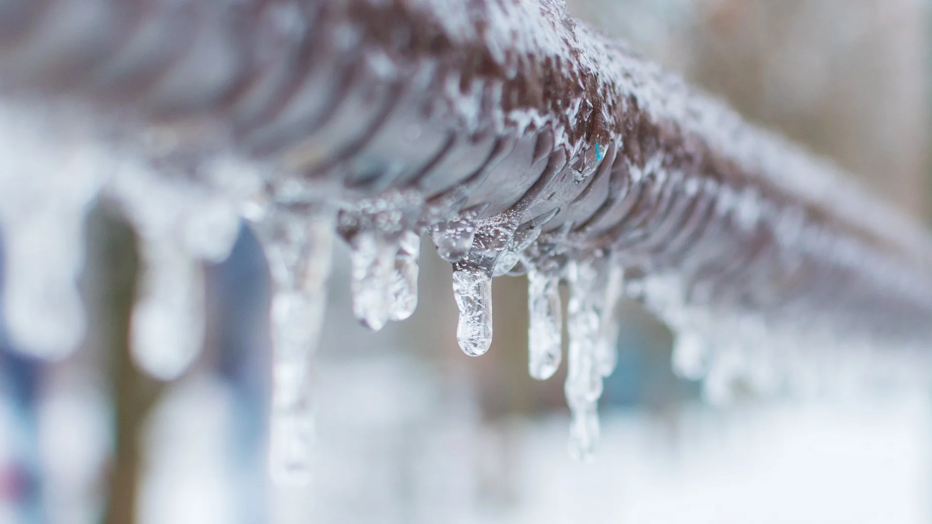 Always Pair an Irrigation Winterization Service With a Startup Service