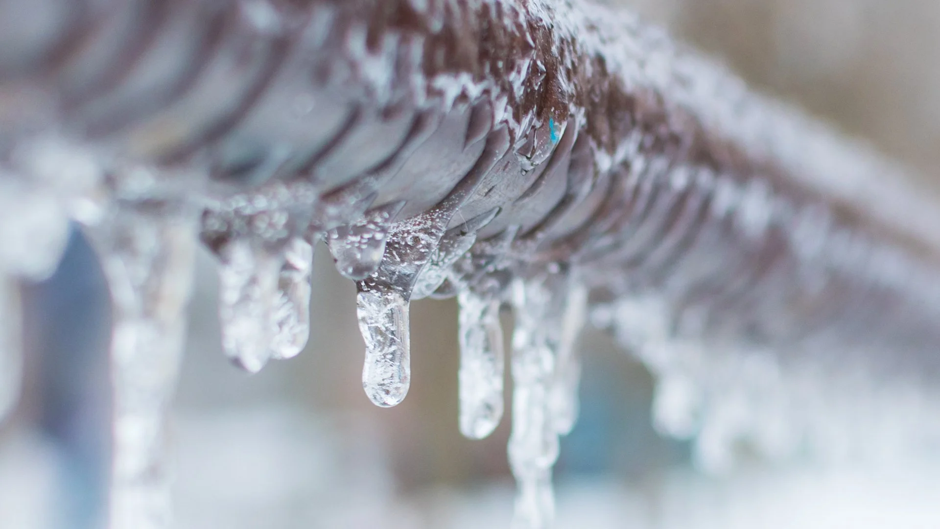 What Does Having Your Irrigation System Winterized Mean?