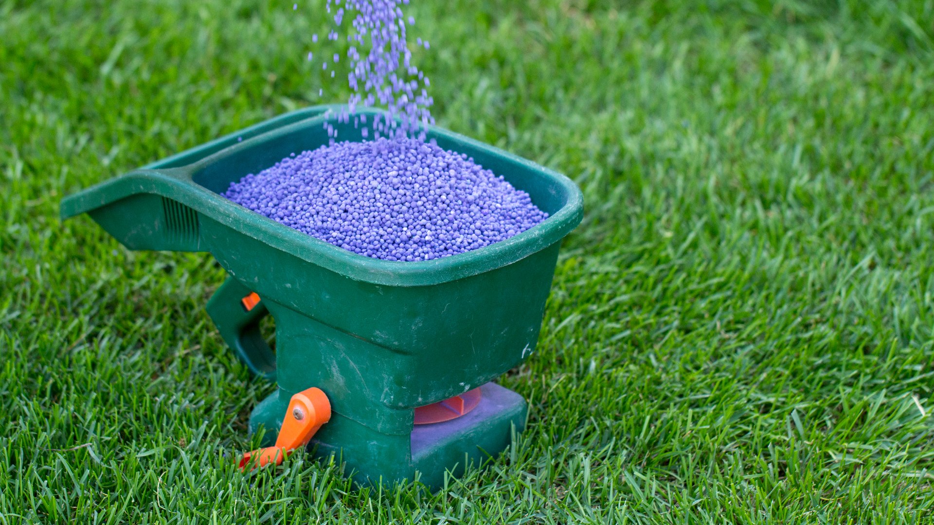 Does My Lawn Need to Be Fertilized During the Fall?