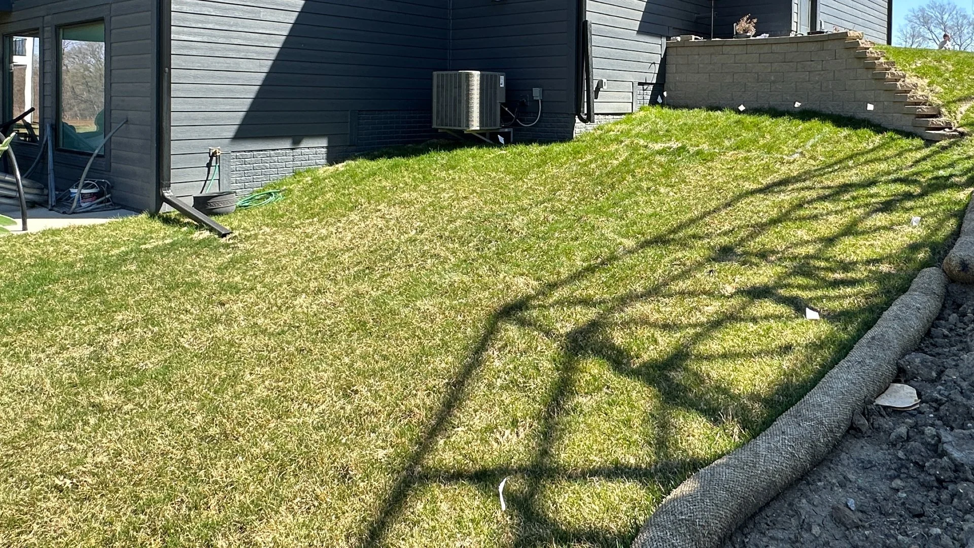 Is Your Lawn Turning Brown? 3 Potential Causes