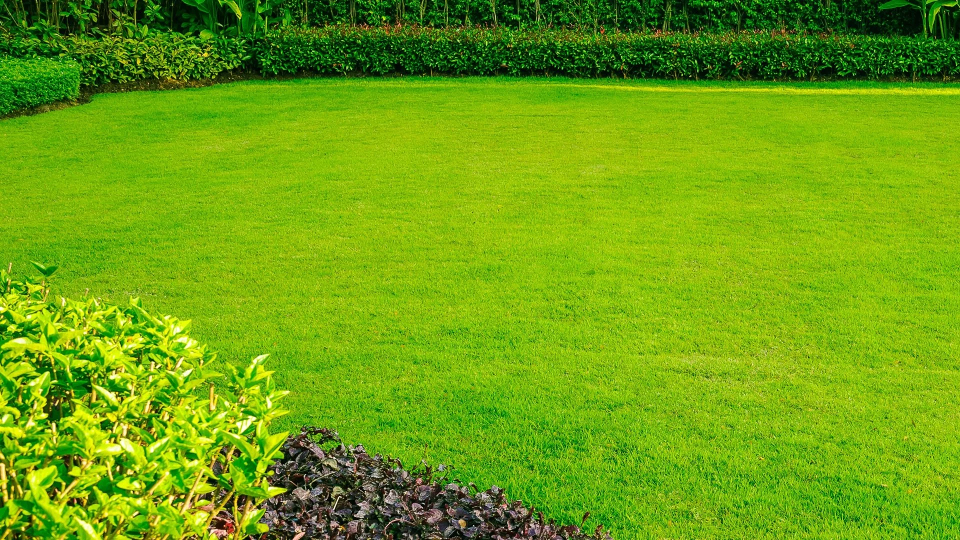 Nitrogen: The Key Ingredient In Fall Fertilizer Treatments