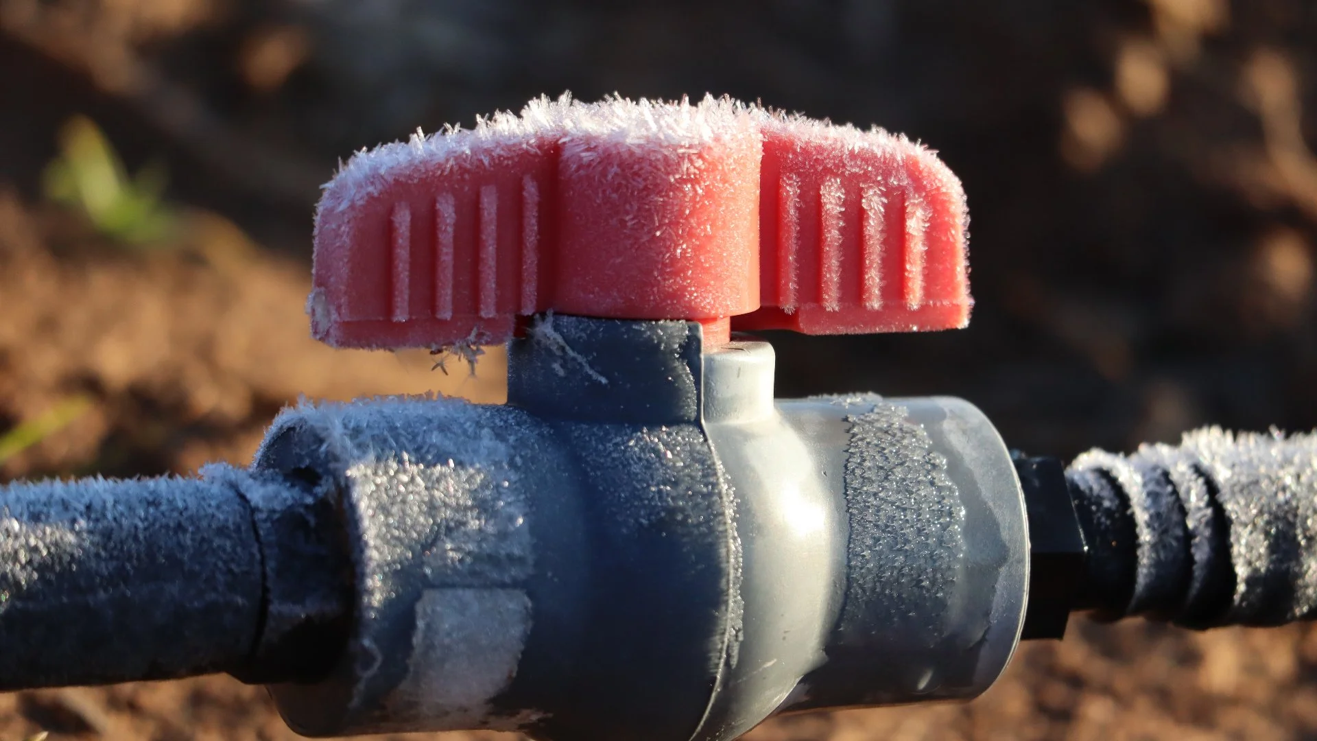 What Do Professionals Do While Winterizing Your Irrigation System?
