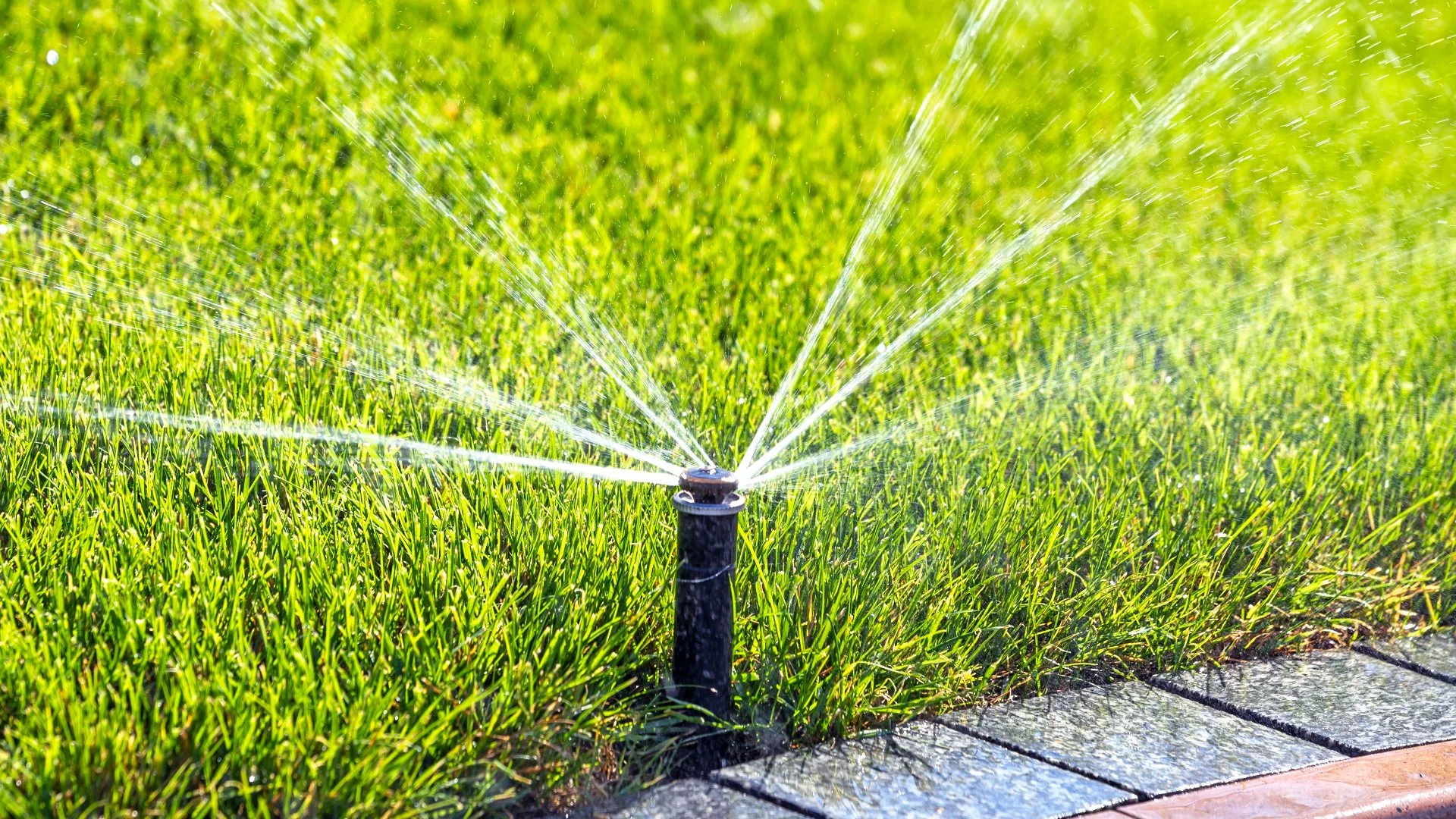 Signs That Indicate Something's Wrong With Your Irrigation System