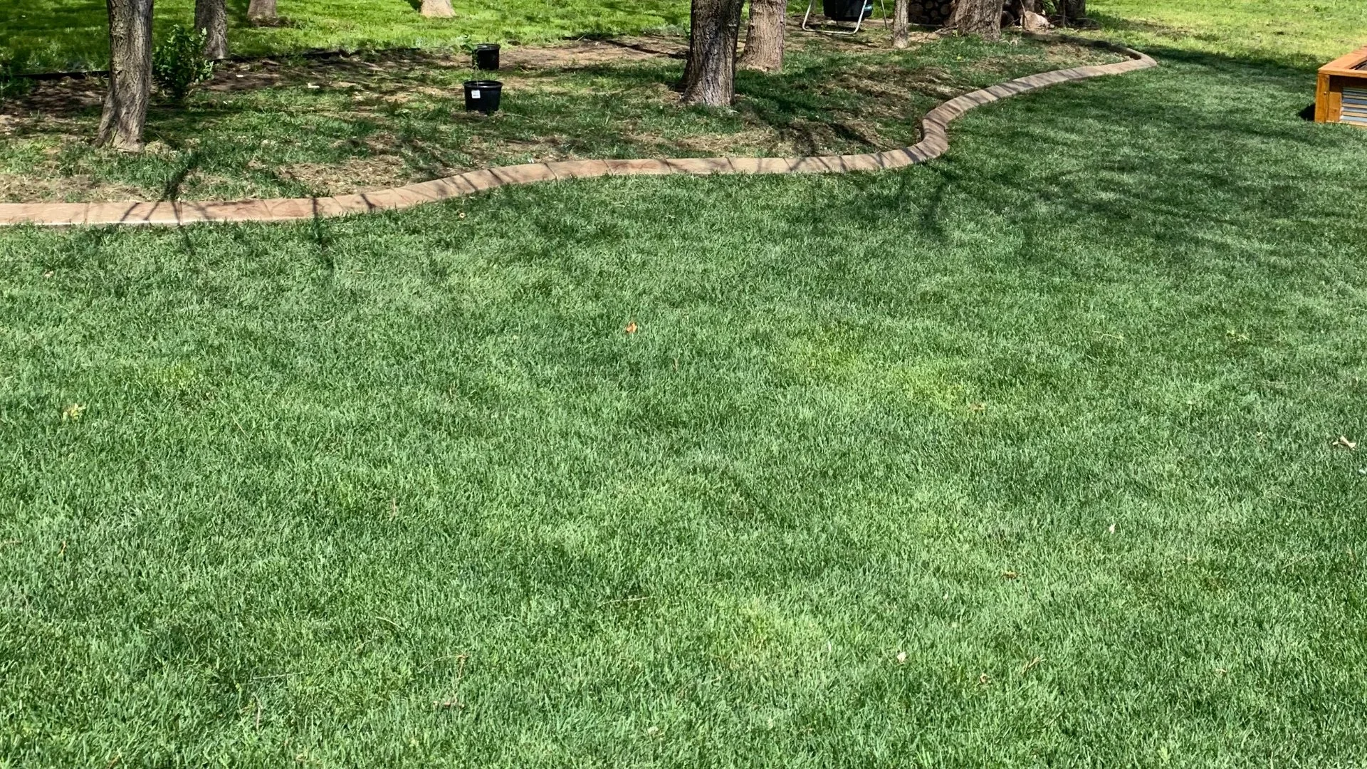 Are There Instances Where You Shouldn't Fertilize Your Lawn?