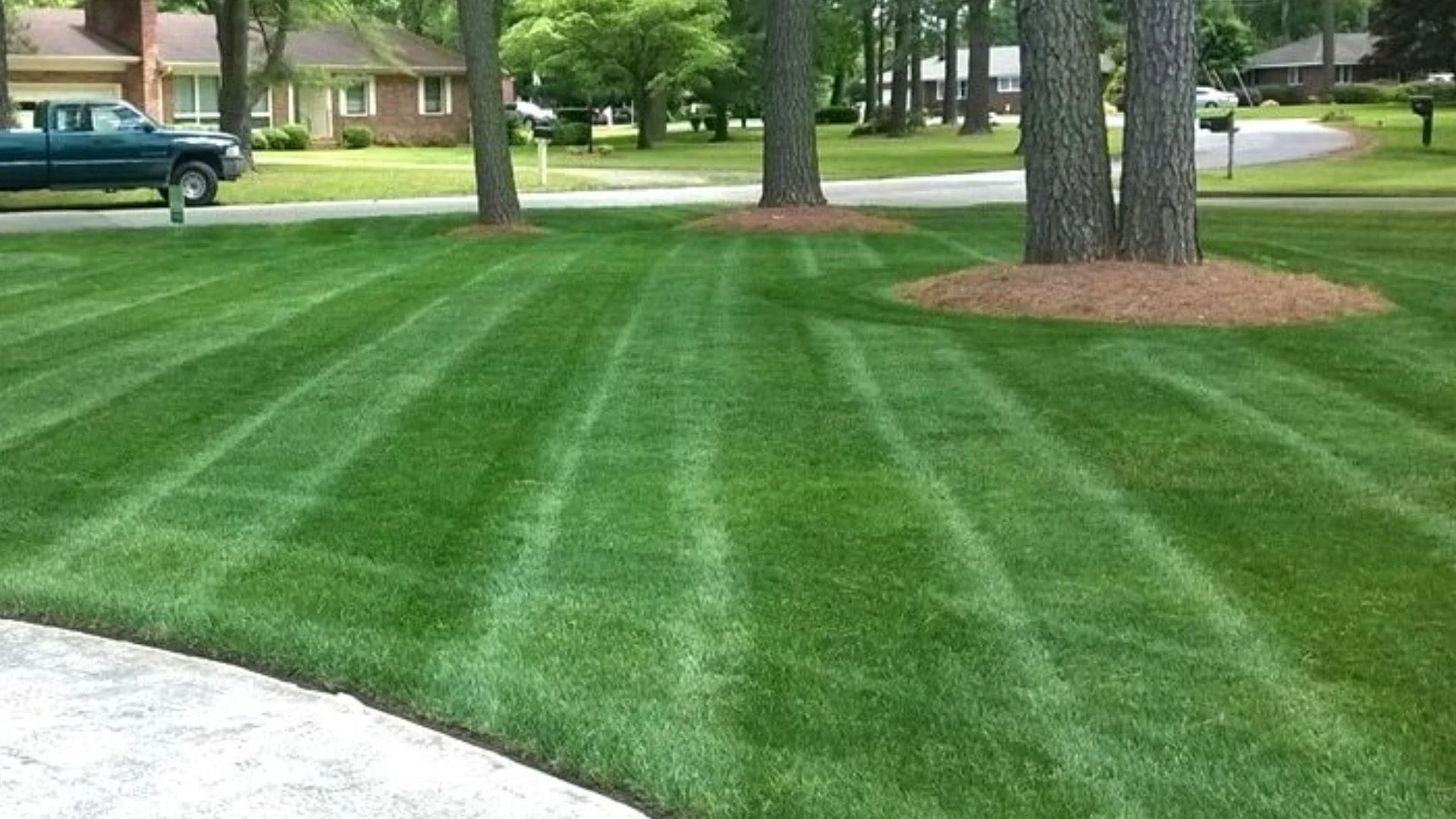 Are All Lawn Fertilizers the Same?