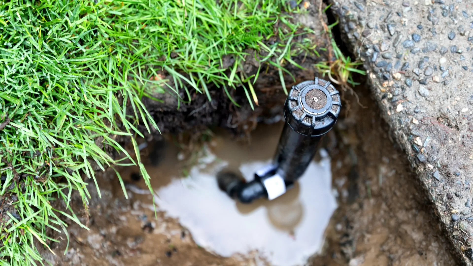 What’s Causing Your Irrigation System to Not Work?