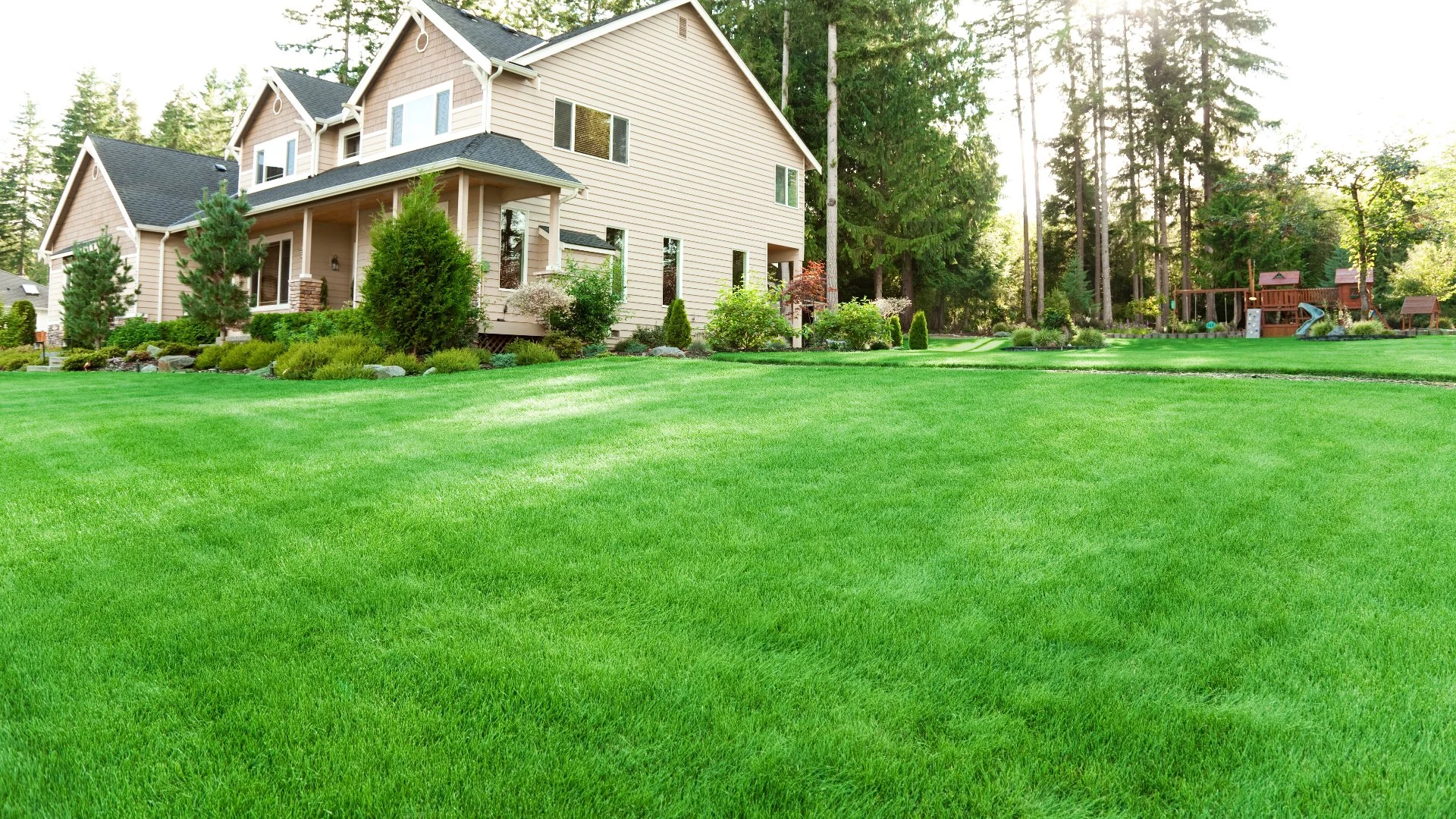Is It Necessary to Water in Fertilizer Treatments?