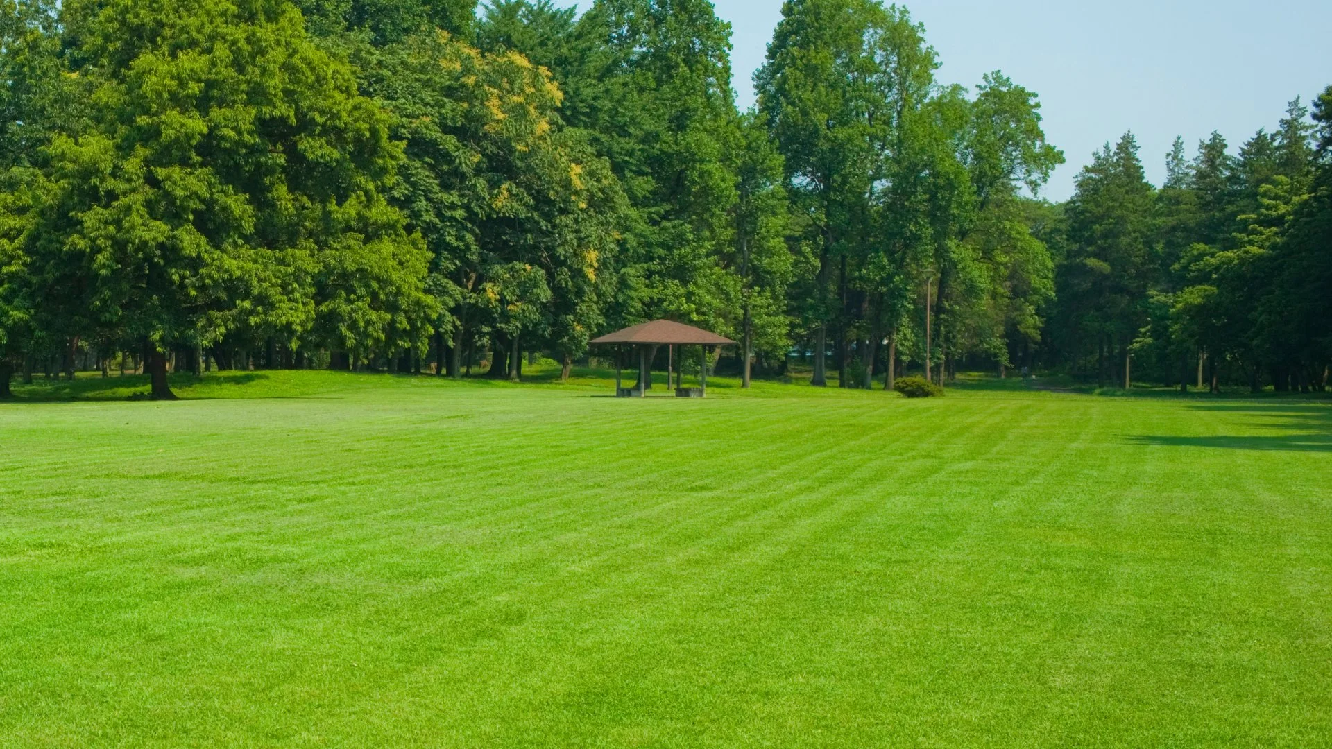 Why Don't Your Lawn's Fertilizer Treatments Seem to Be Effective?
