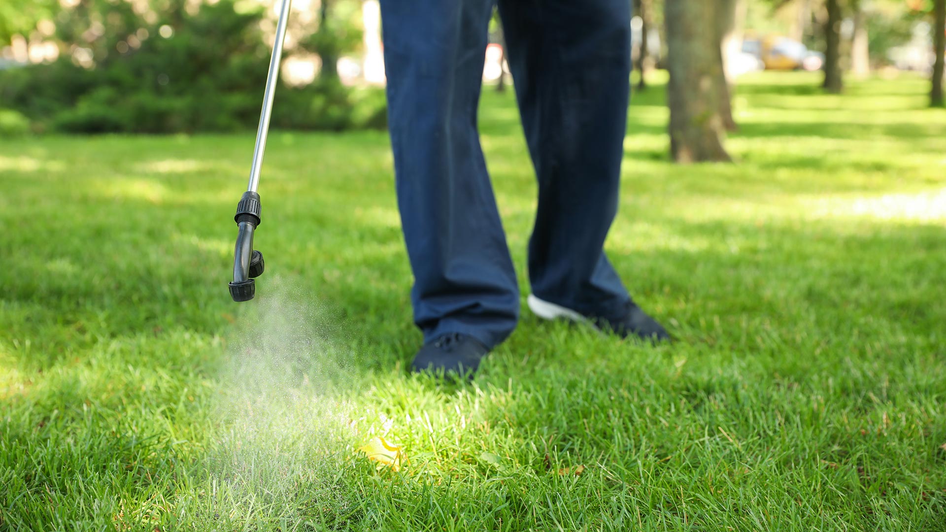 Technician spraying pre-emergent to lawn in Waukee, IA.