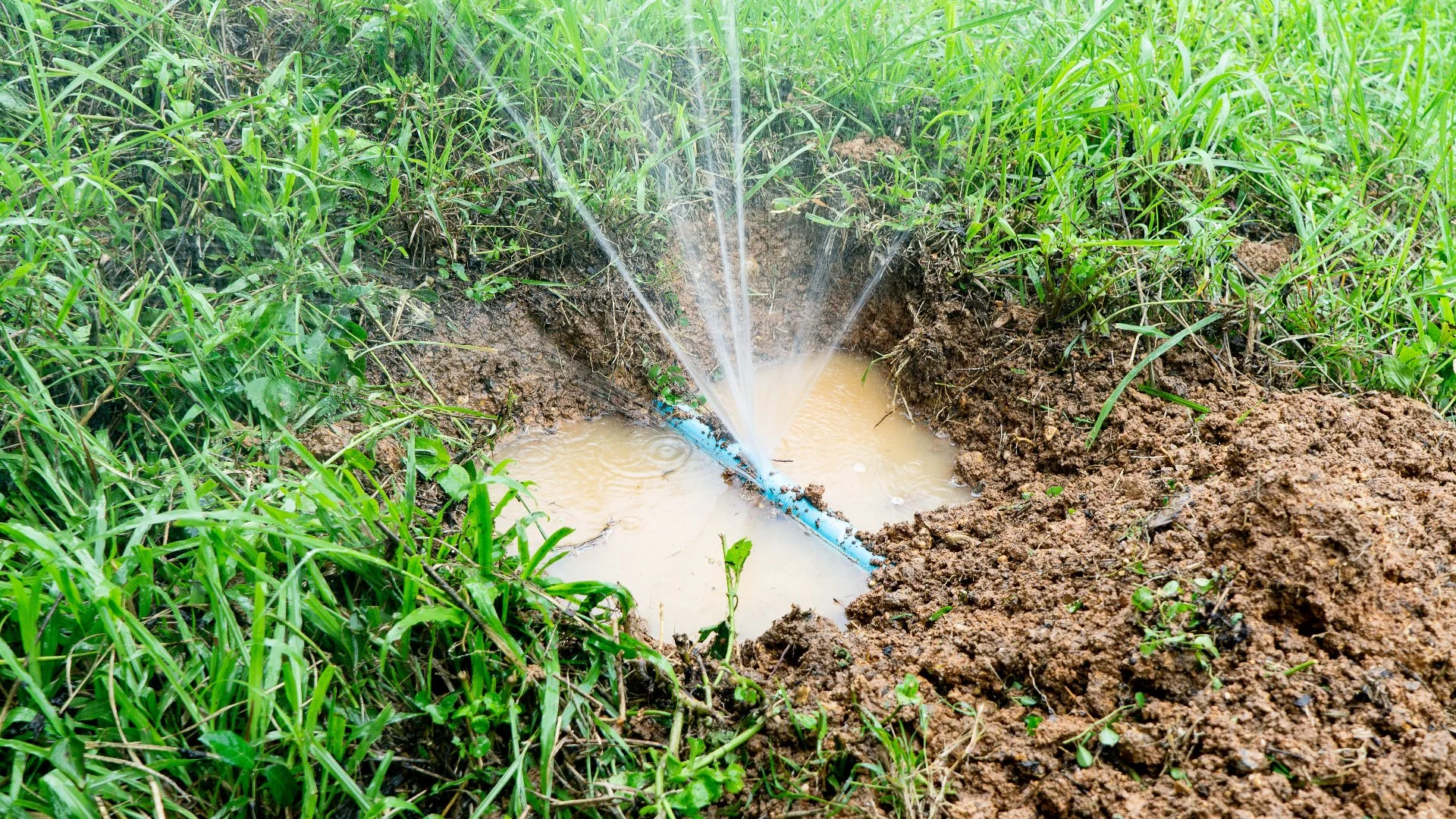 What Will It Cost to Have Your Irrigation System Repaired?