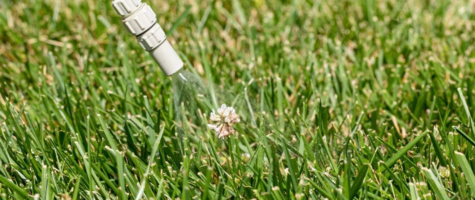 Applying a weed control treatment on a lawn in Waukee, IA.