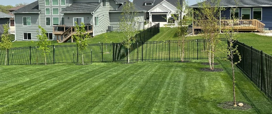 Green lawn on a property in Waukee, IA.