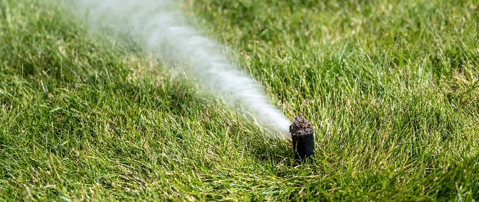 Blowing water out of an irrigation sprinkler head in Waukee, IA.