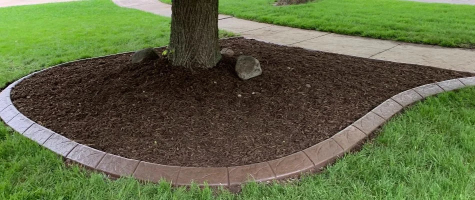Brown mulch around a tree in Waukee, IA.