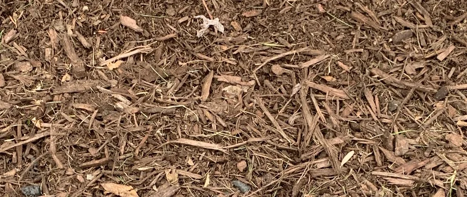 Brown mulch on a landscape bed in Waukee, IA.