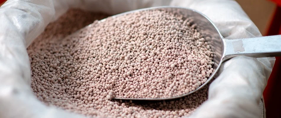 Granular fertilizer for a lawn in Waukee, IA.