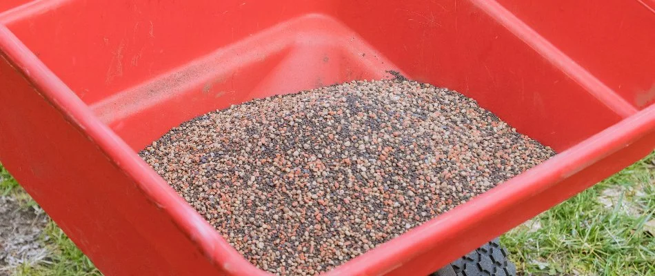 Granular fertilizer for a lawn in Waukee, IA, in a spreader.