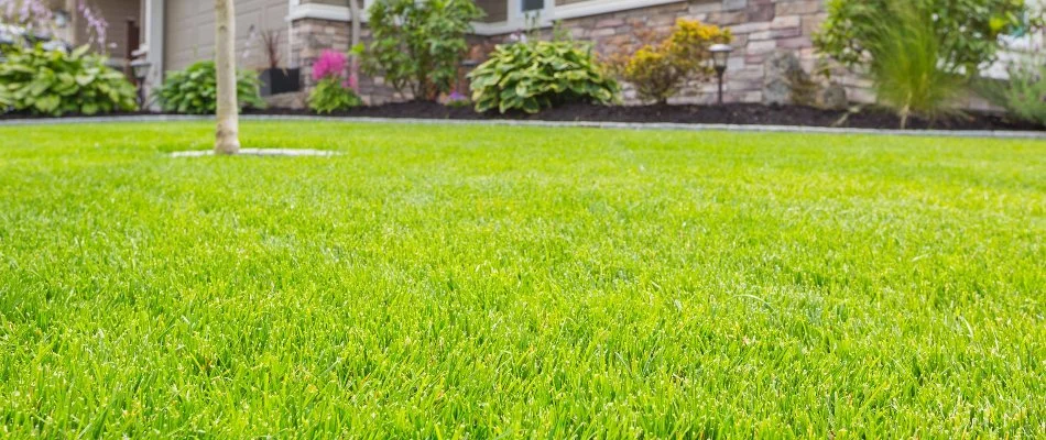 Green, fertilized lawn in Waukee, IA.
