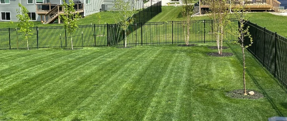 Healthy green lawn in Waukee, IA, with plants and no weeds.