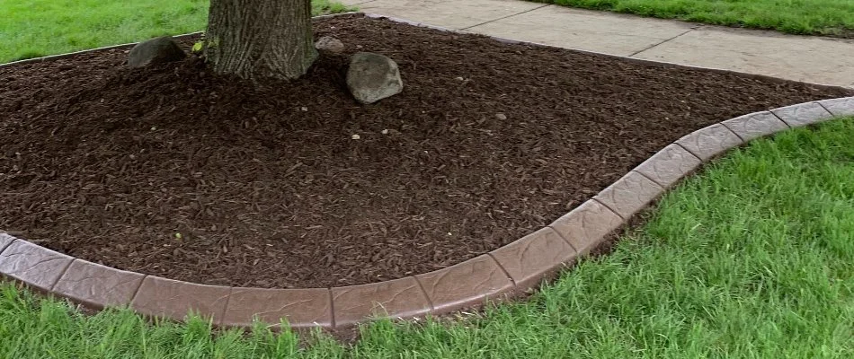 Landscape bed in Waukee, IA, with mulch and concrete edging.