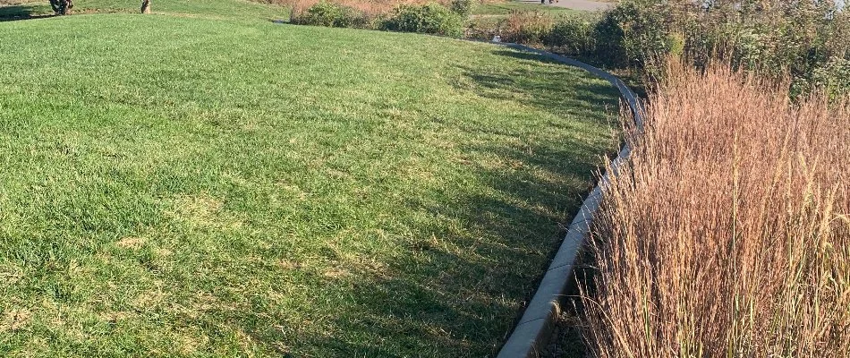 Plants beside a lawn in Waukee, IA.