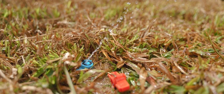 Leaking sprinkler head of an irrigation system in Waukee, IA.