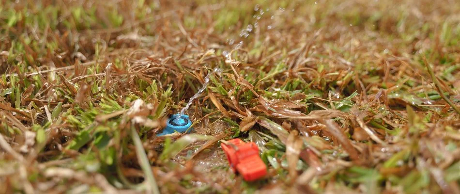 Leaking sprinkler head in Waukee, IA, surrounded by brown grass.