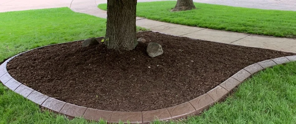 Mulch around a tree in Waukee, IA.