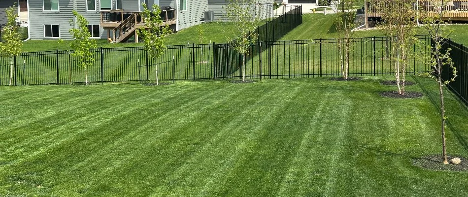 Newly mowed grass with plants in Waukee, IA.