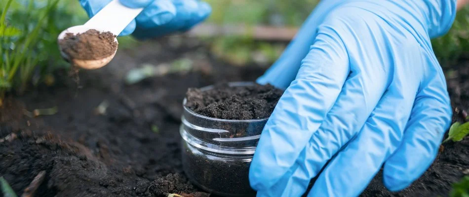 Professional taking a soil sample from a lawn in Waukee, IA.