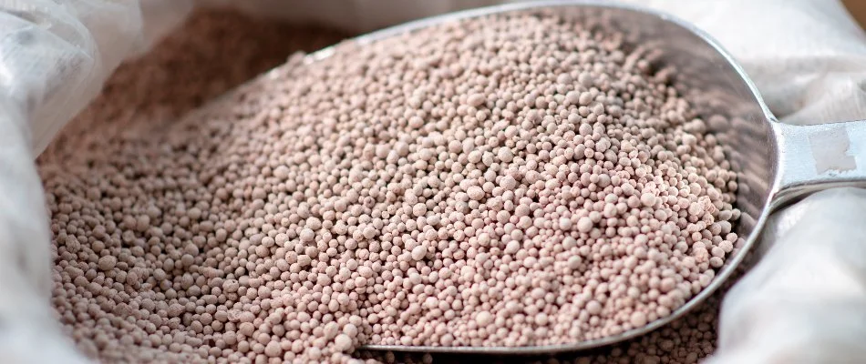 Scoop of nitrogen rich fertilizer for a lawn in Waukee, IA.