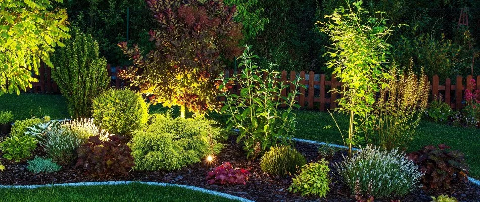 Uplighting technique on a landscape with Waukee, IA, with plants.