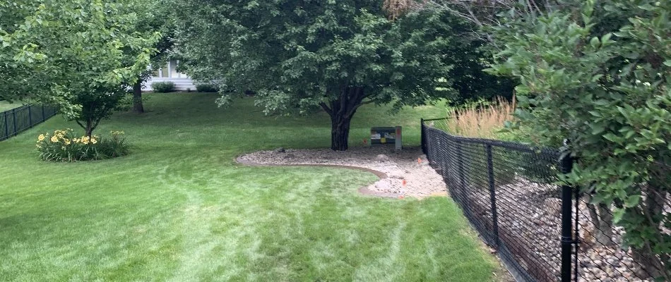 Backyard with healthy grass in Lovington, IA.