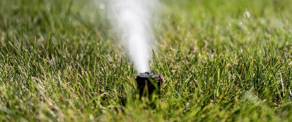 Blowing water out of an irrigation sprinkler head during winterization in Waukee, IA.