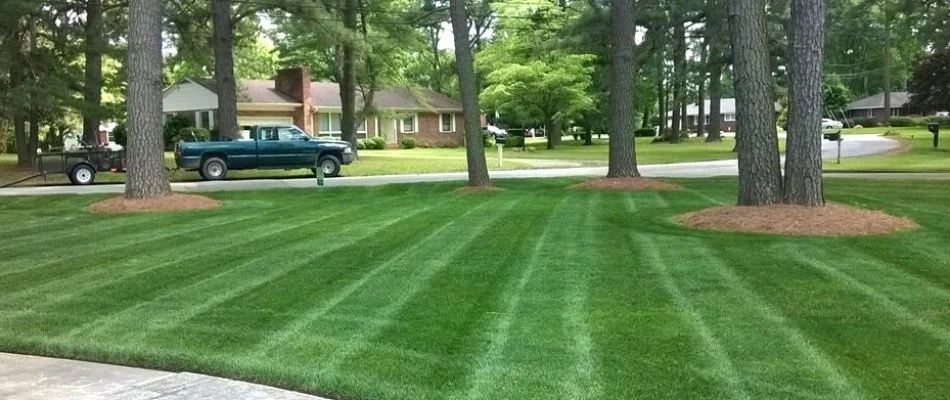 Green lawn in Van Meter, IA, with mowing pattern.