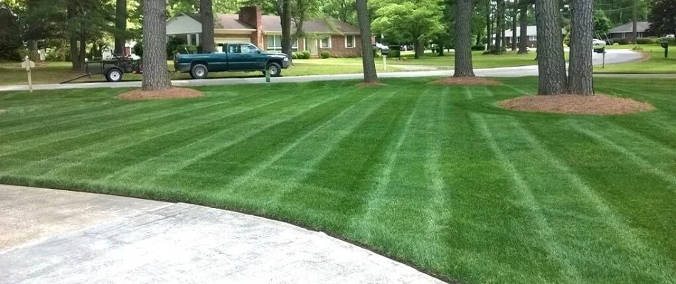 Green lawn in Cumming, IA, with trees and mulch.