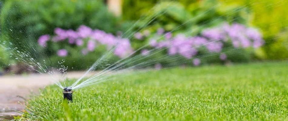 Sprinkler head spraying water on a lawn in Waukee, IA.