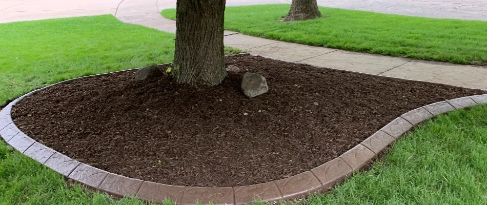 A landscape bed in Waukee, IA, with fresh mulch surrounding a tree.