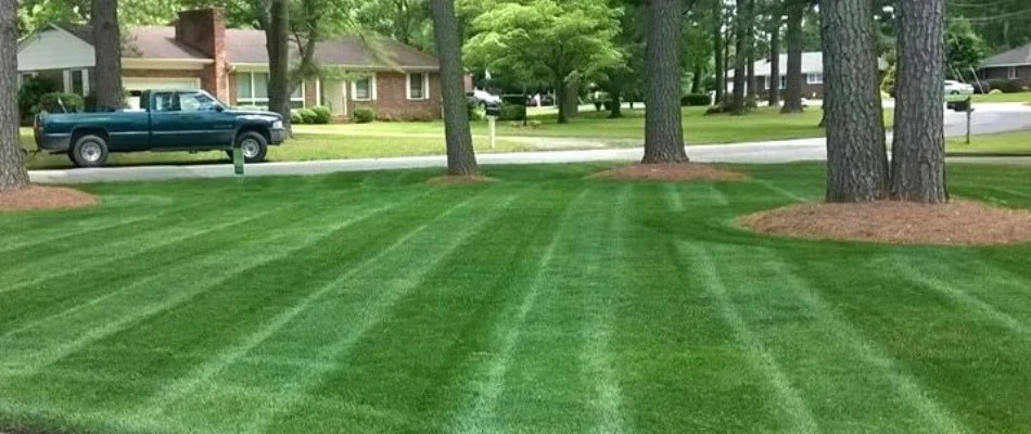 Lush grass with trees in Lakewood, IA.