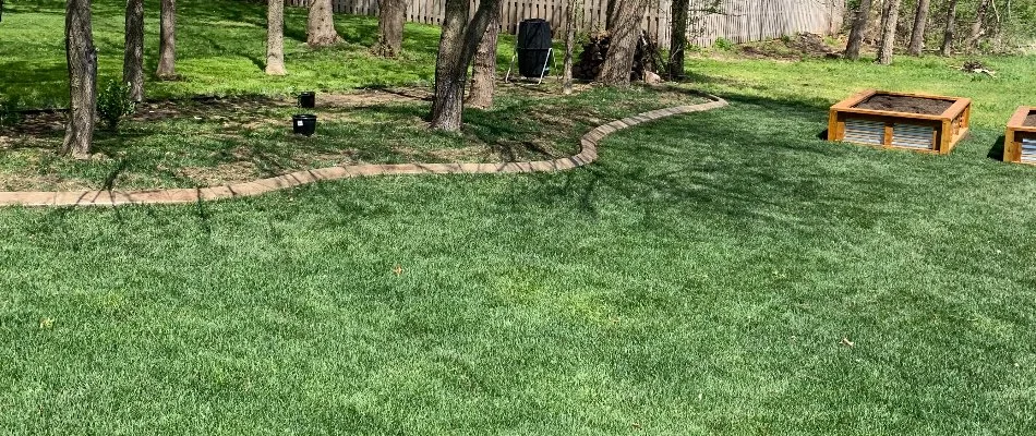 Lush, green lawn in Dallas Center, IA, beside landscape bed with trees.