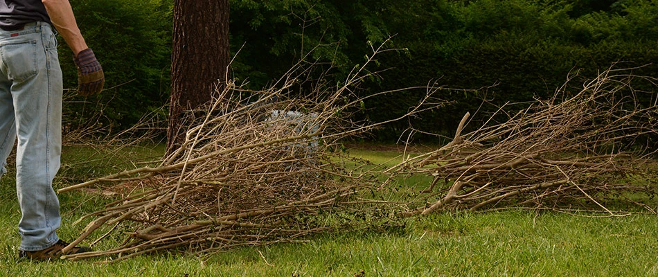 Professional picking debris from lawn in Urbandale, IA.