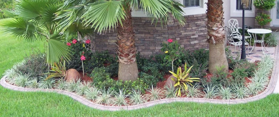 Landscape bed with plants and trees in Waukee, IA.