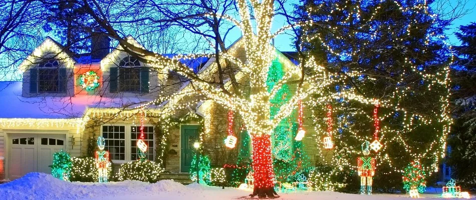House and plants in Waukee, IA, with white and colored Christmas lights.