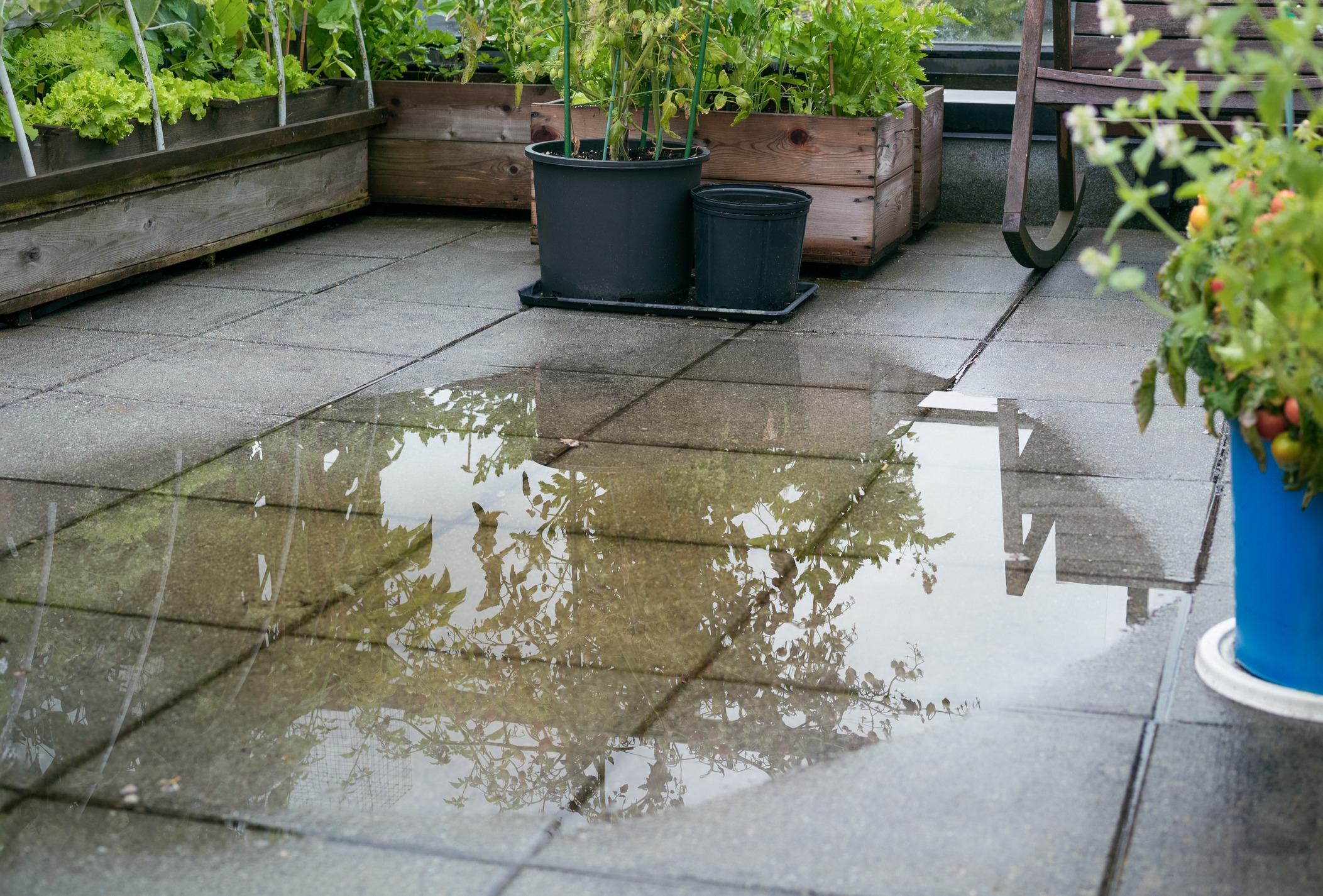 Patio drain clogged and flooded after heavy rain.