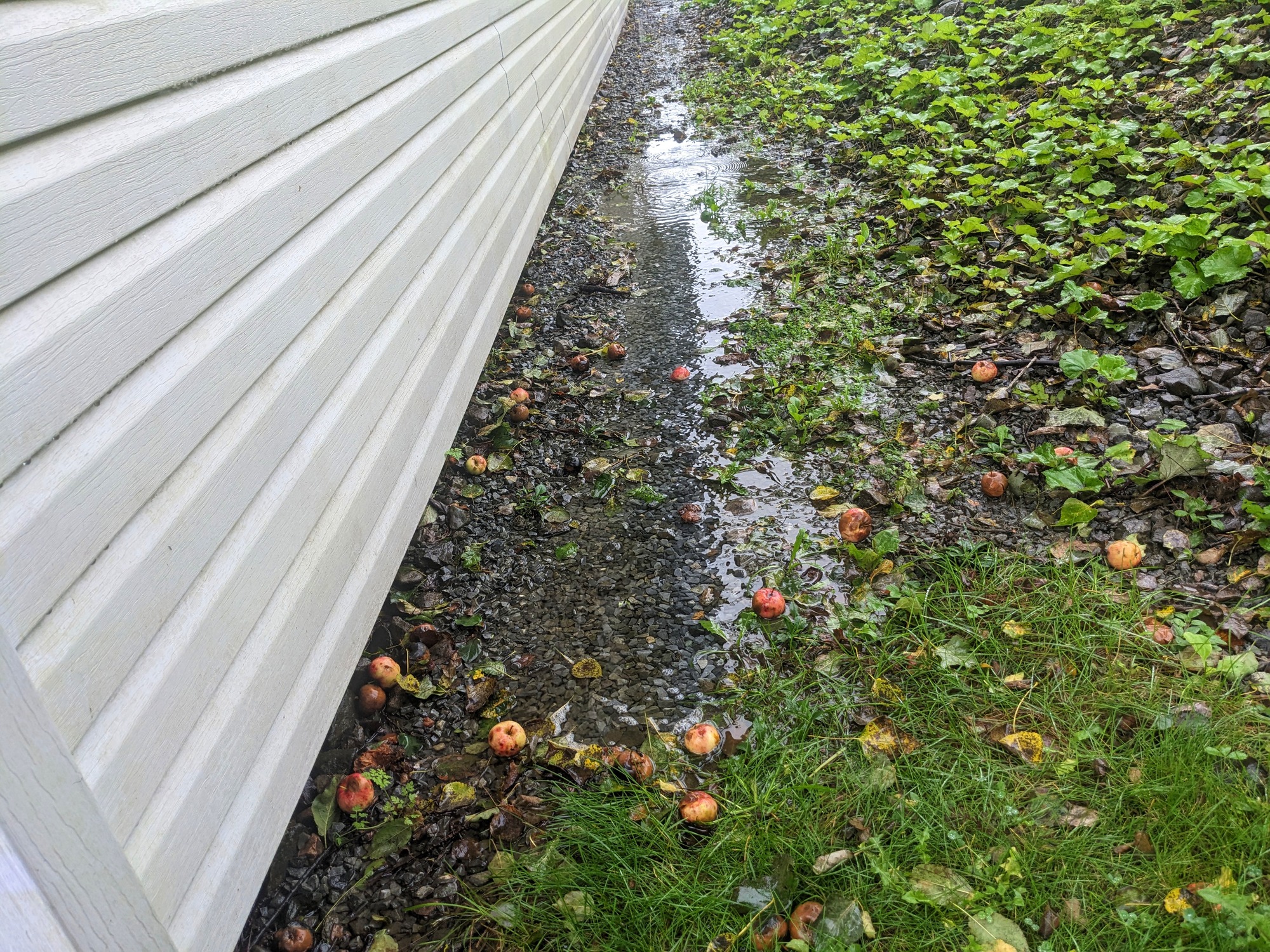 Pooling Water Beside House Foundation