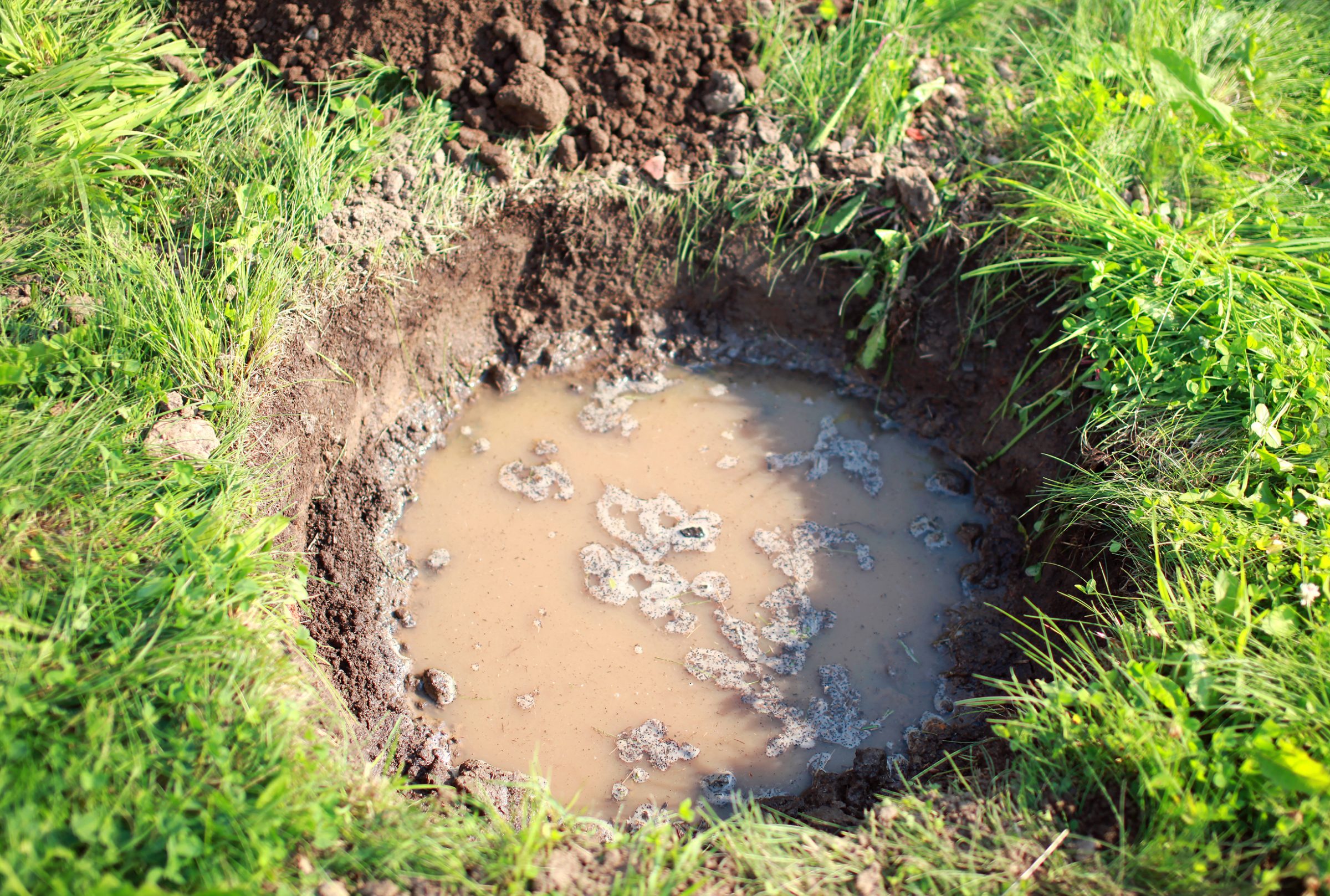 A hole in the grass of a lawn, filled with soil and muddy water.